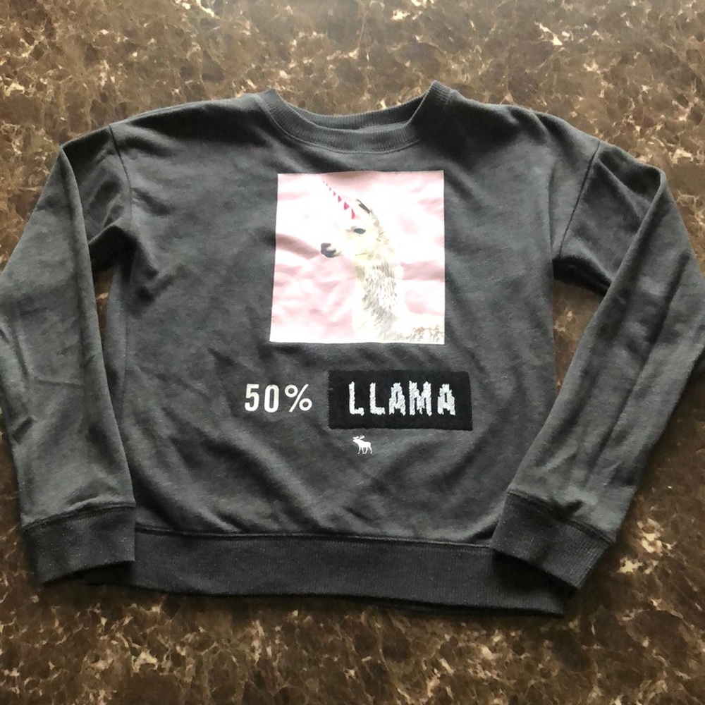 Abercrombie Girls Sweatshirt